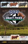 2023 Draft Picks Bull Sale