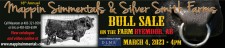 18th Annual Mappin Simmentals & Silver Smith Farms Bull Sale