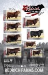 5th Annual Redrich Farms Bull sale